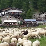 Szálloda Del 2*