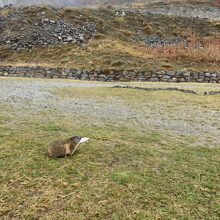 Del Hotel Ceresole Reale