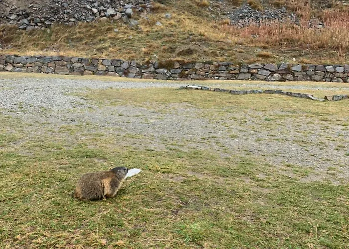 Del Otel Ceresole Reale